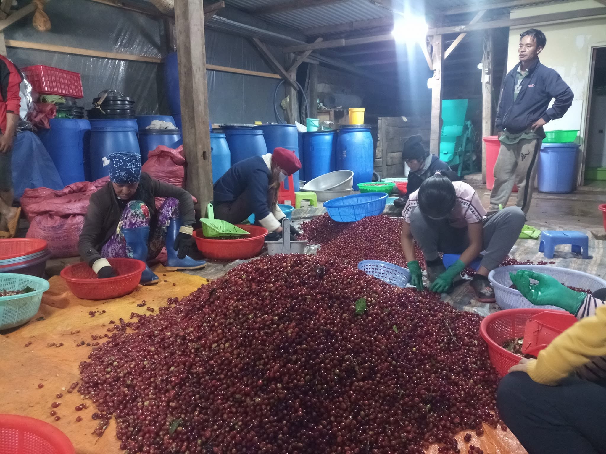 Our coffee story